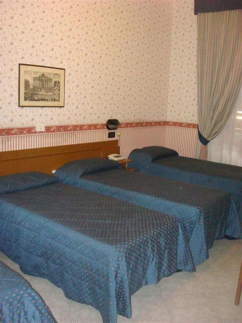 Hotel Demetra Capitolina Rome Room photo